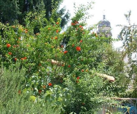 Casa Vacanze Alleantichemura Appartement Conegliano Buitenkant foto